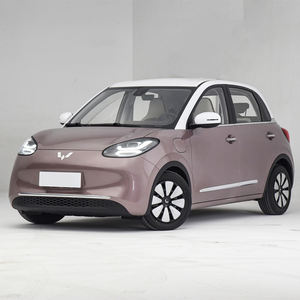 Di toko 2023 Wuling Bingo kendaraan energi baru kecil mobil listrik murni <span class=keywords><strong>2</strong></span> tempat duduk mobil listrik Mini - Product Image 1