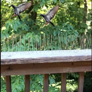 Đinh Chim Gai Thiết Thực An Toàn Thiết Kế Thân Thiện Với Người Dùng Nhà Máy Bằng Thép Không Gỉ - Product Image 4