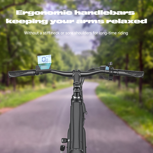 Bicicleta Eléctrica para Adultos con Entrega en 4 Días, Batería de Litio de 36V 250W, 7 Velocidades Electrónicas, Ligera, con Asistencia al Pedaleo, para Ciudad y Carretera, Reino Unido y UE - Product Image 6