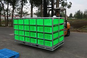 <span class=keywords><strong>Cages</strong></span> de transport pour poulets vivants destinées aux systèmes de transport d'oiseaux vivants - Product Image 5