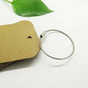 EWANG 120mm Outdoor Hiking Stainless Steel Keychain Cable <b>Key</b> Ring - Product Image 2