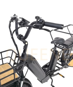 QUEENE/Bicicleta Eléctrica Familiar con Doble Motor y Doble Batería 2000 48V40Ah Todoterreno de Largo Alcance con Neumáticos Anchos y Cuadro de Aluminio - Product Image 3