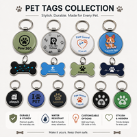 Vente en gros d'étiquettes NFC pour animaux de compagnie personnalisées en époxy, étiquettes NFC pour animaux de compagnie inscriptibles, logo personnalisé, étiquette NFC imperméable pour chiens