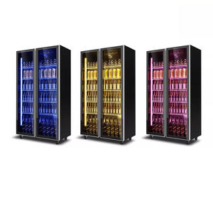 Réfrigérateur Commercial à Boissons, Deux Portes Vitrées, Vitrine Réfrigérée pour Bars et Cantines, Refroidissement par Ventilateur, Congélateur Vertical <span class=keywords><strong>Multi</strong></span>-Niveaux - Product Image 2