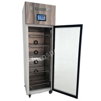 Armoire de décongélation électrique commerciale en acier inoxydable haute performance pour thon et bœuf en cuisine et restaurant