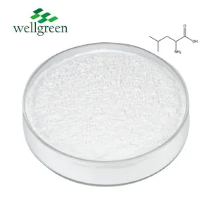 Manufacturer Supply Bulk Vegan Amino Acid Food Feed Grade 99% Powder L-Leucine