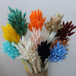 IFG gros bouquet Mini <span class=keywords><strong>Lagurus</strong></span> fleurs séchées naturelles pour mariage vivant décors à la maison - Product Image 4