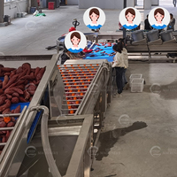 Industriële aardappelwas- en drooglijn, fruit- en zoete aardappelborstelwasinstallatie, borstelwasser voor wortelgroenten