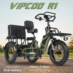 Vipcoo R1 750w 40ah Triciclo de Acero de Tres Ruedas para Pasajeros, Scooter de Movilidad con Neumáticos Anchos para Adultos Vc-r1 Vc- - Product Image 6