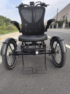 Triciclo <span class=keywords><strong>El</strong></span>éctrico de Última Generación con Marco de Aleación y Carrocería Abierta, Batería de 48V, Frenos Hidráulicos, Motor de 250W, Autonomía de 55-60KM, 1 <span class=keywords><strong>Pasajero</strong></span> - Product Image 6