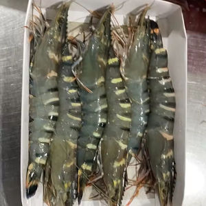 Gambero Tigre Nero di Alta Qualità - Product Image 1