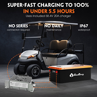Batterie de chariot de golf au lithium LiFePO4 48V (51.2V) avec BMS 250A intégré, moniteur tactile et système de rétention (GFS48V-105AH avec chargeur)