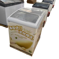 Congélateur commercial en plastique à porte coulissante, petite capacité, à température unique, avec refroidissement par air/ventilateur pour crème glacée