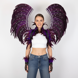 SeaShell WI021 Tüy Kanatlar Dekor Seti Kadın Yetişkin Karnaval Cadılar Bayramı Partisi Maskeli Balo Kostümü ve Sahne Gösterisi için - Product Image 2