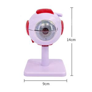 Modèle de globe oculaire géant agrandi 3 fois, modèle anatomique d'oeil médical - Product Image 1