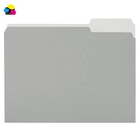 Carpeta de Archivo de Papel Manila Gris de 11 Pt, Resistente, para Oficina, con Pestaña de 1/3, Tamaño Carta (8.5 x 11 Pulgadas), Impresión UV