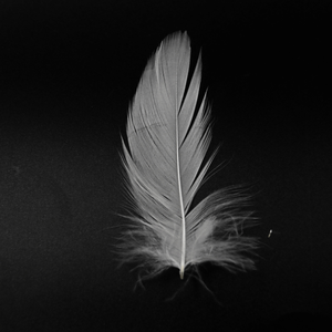 وسادة ريش البط من ماركة WX موديل WXD-24 منشأ أنهوي نمط مغسول آلة نتف كهربائية محمولة باليد مخصصة للاستخدام المنزلي/الفندقي - Product Image 6