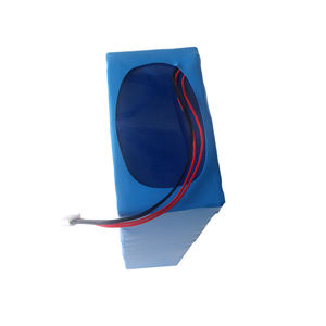 電動スクーター用充電式リチウムイオン電池パック24V 40Ah 18650 - Product Image 4