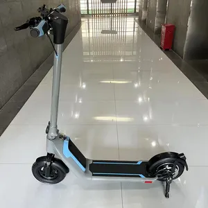 Hot sale Removable battery 10Ah 10 inch fat tire 1000W folding electric scooter