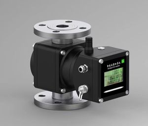 マクロLPGガスルーツフローメーター天然ガス用RS-485およびLCDディスプレイ高精度マスフローメーター - Product Image 3