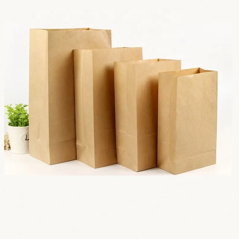 Paper Bag Custom Print Logo Cheap Wholesale Kraft Paper Packaging Bags