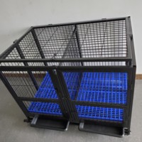 Nouvelle Arrivée Cage pour Animaux en Fer de Haute Qualité, Niche Extérieure pour Chien à Double Porte, Plateau en Plastique Amovible, Personnalisable OEM, Respirant, Revêtement en Poudre