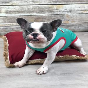 Kemeja Natal lucu untuk anjing dan kucing nakal pakaian Santa Elf bagus 'maaf Santa I Ate Cookies'-pakaian hewan peliharaan - Product Image 4