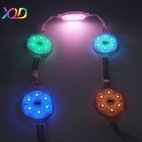Source de lumière ponctuelle LED RGB RGBW extérieure étanche XQD sur mesure super lumineuse 6V DMX512 pour parcs à thème de Noël IP67