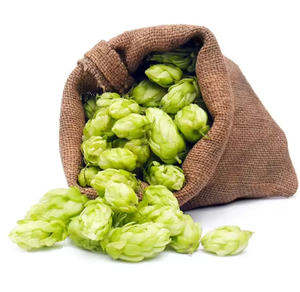 Экстракт сухого хмеля из чистого пива - Product Image 2