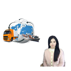 Envío rápido DDP FBA desde China a EE. UU. Y Canadá | Servicios de logística de transporte marítimo - Product Image 1