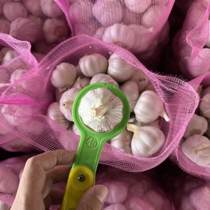 Nouvelle Saison Ail Blanc Frais du Shandong en Sac <span class=keywords><strong>de</strong></span> 24 kg - Product Image 3