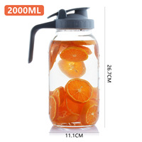 Pot de cafetière 32oz Cold Brew verre épais polyvalent voyage eau boisson Mason Jar couvercle à bec verseur avec filtre en acier inoxydable