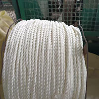 Livraison gratuite en usine personnalisée PP Danline 6mm 28mm Marine Fournitures Corde d'amarrage en polypropylène pour bateaux Dock Yacht Jet Ski