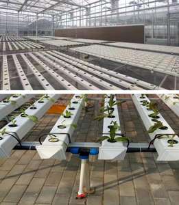 Tuyau en <span class=keywords><strong>PVC</strong></span> kit de système de culture hydroponique <span class=keywords><strong>tour</strong></span> de culture hydroponique pour fraise - Product Image 5