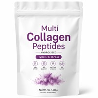 OEM & ODM Premium-Qualität Multi-Kollagen-Peptide Biotin Vitamin C & Hyaluronsäure-Pulver Natürliche Inhaltsstoffe