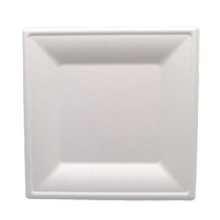 Assiettes carrées en bagasse de canne à sucre biodégradables et compostables, résistantes à la graisse et compatibles micro-ondes pour les fêtes