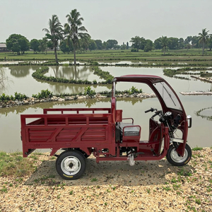 WangHu benzine aangedreven luchtgekoelde driewielige motorfiets met open laadbak, 150cc motor, 400kg laadvermogen, driewieler - Product Image 2