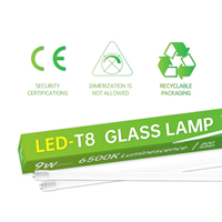 Lámpara LED T8 de Tubo de Vidrio de 9W 18W 22W, 6500K 85lm/w, Corriente Constante IC, 0.6m 1.2m 1.5m para Supermercados y Escuelas