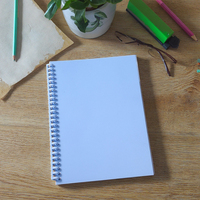 Livres d'autocollants réutilisables à feuilles mobiles rechargeables personnalisés pour la collecte de livres d'autocollants en silicone avec papier de dégagement vierge