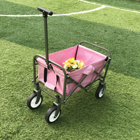 Chariot utilitaire pliable GT1800 pour enfants, pique-nique en plein air, plage, camping, jardin