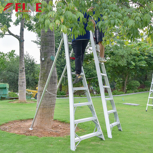 Phật Sơn Trung Quốc Quảng Châu <span class=keywords><strong>finether</strong></span> an toàn hiện đại mạnh mẽ trái cây chọn thang leo thang de frutal - Product Image 2