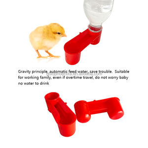 YYC <span class=keywords><strong>DIY</strong></span> <span class=keywords><strong>Bebedero</strong></span> automático para pájaros Tazas Jaula para animales <span class=keywords><strong>Bebedero</strong></span> para palomas de plástico - Product Image 4