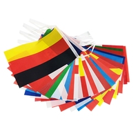 Drapeau triangulaire personnalisé avec logo de club, guirlande de fanions en PVC, vente en gros, drapeau personnalisé d'usine, guirlande de fanions pour anniversaire, festival, promotion