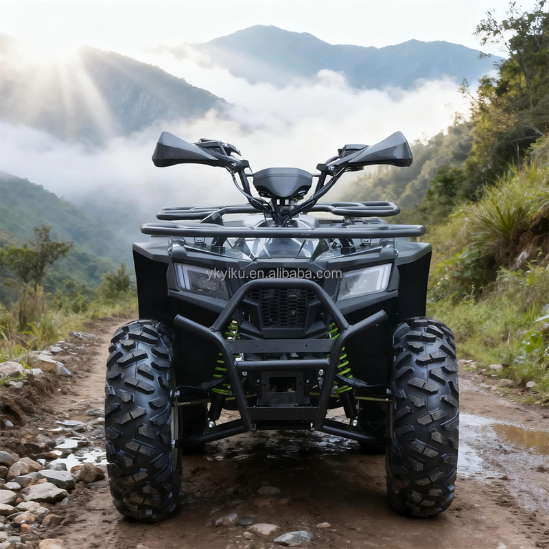 Factory Direct Supply 300cc 400cc Gas