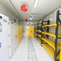 Armoire de stockage métallique extérieure SCEELAB de haute qualité pour l'huile, l'alcool et les produits chimiques dangereux, idéale pour les hôpitaux, les écoles et les ateliers