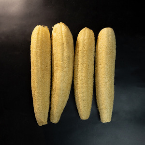 Eco Friendly Bulk Kitchen Cleaning Natural Exfoliating Loofah <b>Brush</b> Biodegradable Dish Pot Scrubber Portable Handheld - Product Image 3