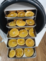 Déshydrateur alimentaire professionnel 110V pour la maison, petit modèle, 4 plateaux, en acier inoxydable, contrôle numérique, capacité de 4 kg/h, pour viande, fruits, légumes