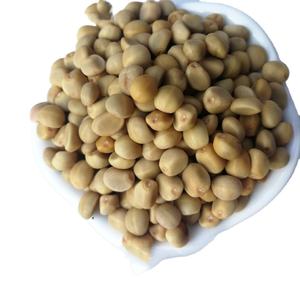 Die da Dou <span class=keywords><strong>Ipomoea</strong></span> turbinata clavo de olor natural crudo seco <span class=keywords><strong>Ipomoea</strong></span> turbinata frijoles para hierba - Product Image 1