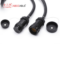 Câble d'extension d'alimentation pour éclairage ABCCABLC Socapex 19 broches mâle vers femelle
