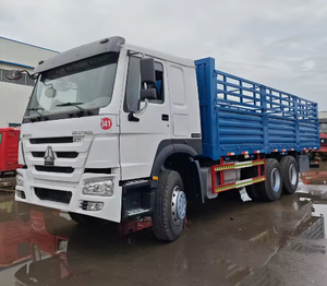 Camion à plateau robuste Howo 6x4 avec moteur à grande puissance et large compatibilité de carburant pour le transport de marchandises agricoles et de bétail en Afrique - Product Image 2